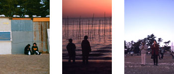 photos